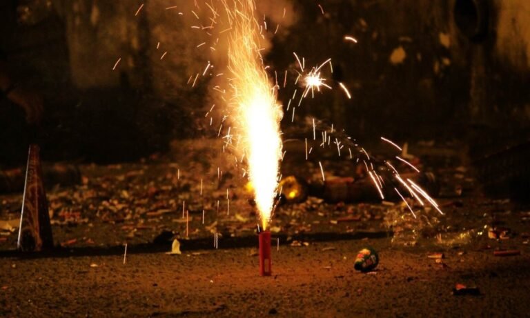 Delhi Minister Urges LG to Enforce Strict Measures Against Illegal Firecracker Sales Ahead of Diwali
