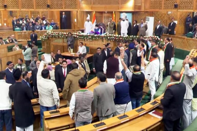 Tensions Flare in J&K Assembly as BJP Protests Special Status Resolution