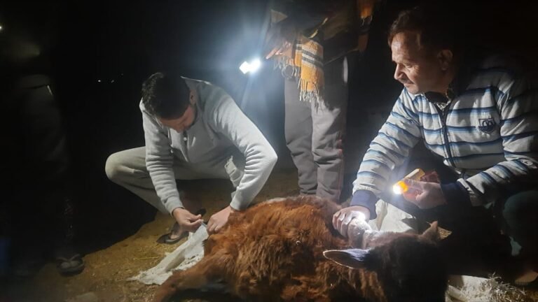 Advocate Kulveer Singh Parihar: A Champion for Animal Welfare in Kishtwar